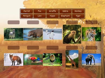 Observa las imágenes y arrastra el nombre que corresponda a cada animal 