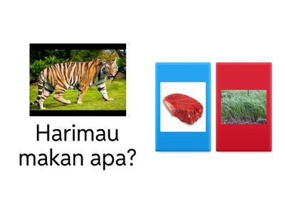 HAIWAN DAN MAKANANNYA