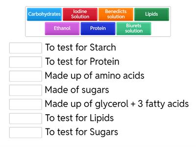 Biological Molecules 