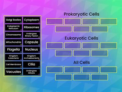 Types of Cells