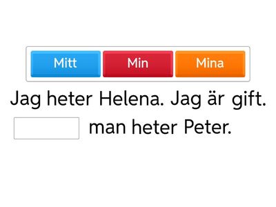 Träna possessiva pronomen