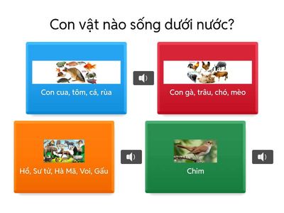 Nhận biết, phân loại  động vật!