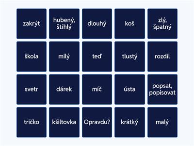 Vocabulary 3B - Project 1