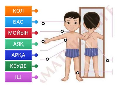 АДАМ ДЕНЕСІ