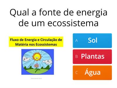 Fluxo de energia e matéria