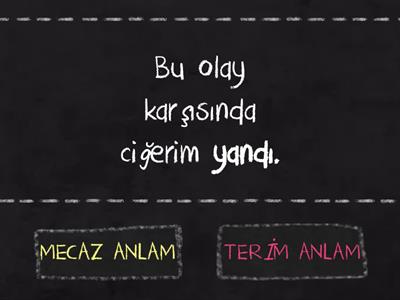 MECAZ ANLAM - TERİM ANLAM