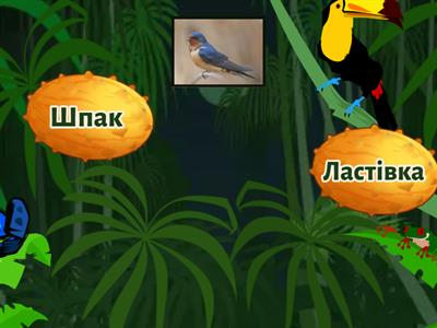 перелітні  птахи