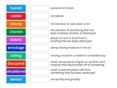 Vocabulary Match Up-Storyworks Tornado