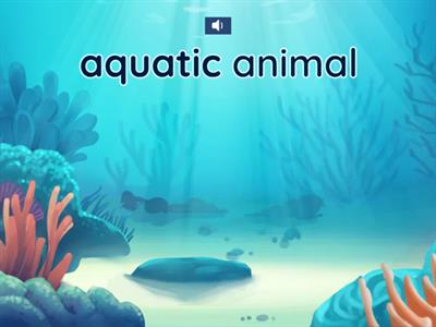 四年級雙語自然-Aquatic World