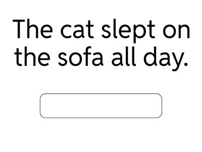 Past simple questions 