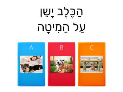 כל התנועות משפטים