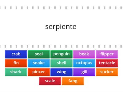 Grade 5 Unit 5 Vocabulary
