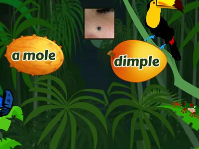 Appearance - 5th year 