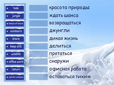 5 класс 3b work days