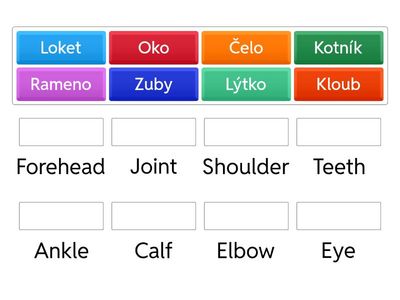 Anglický jazyk - Lidské tělo 