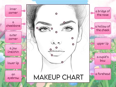 Face chart