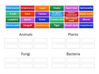 Kingdoms of Life