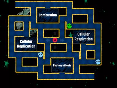 Carbon Cycle Word Chase