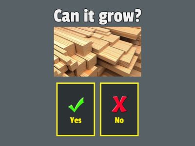 Questions - Living or Non-living