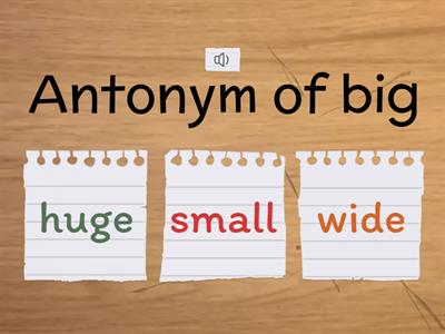Antonym and Synonym Activity