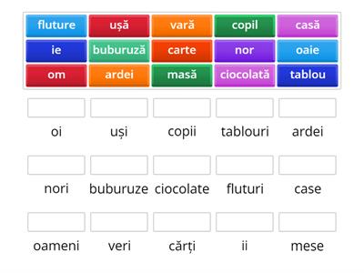 Singular - plural