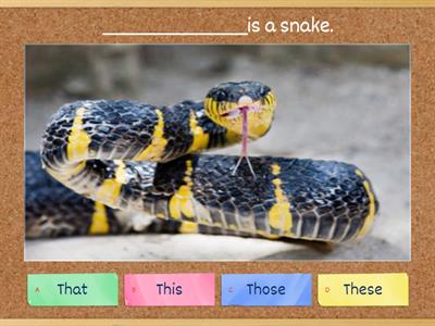 This\that\these\those