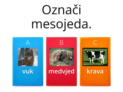 voda,tlo,život životinja 