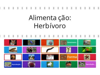 Animais cultura geral