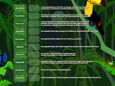 Unit 7 Vocab - Ecosystems 