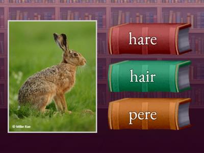 Русинова 22-23