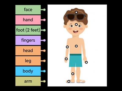 body parts