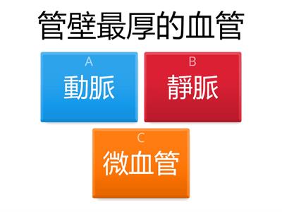 血管、血液大雜燴