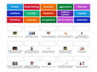 GOAL SETTING AND DECISION MAKING VOCAB MATCHING