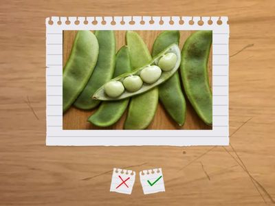 Beehive 2 Unit 2 FR/ Veg