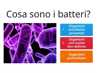  Batteri