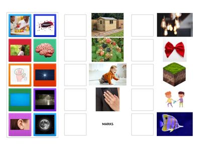 Compound words w pictures 