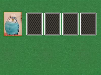 Легкий китайский 11 урок 