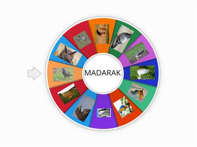 MADARAK