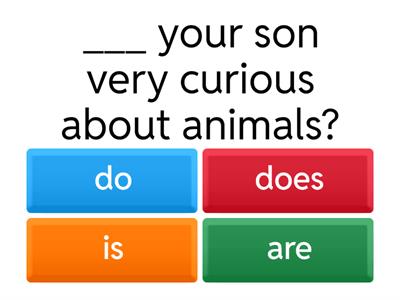 do / does / is / are