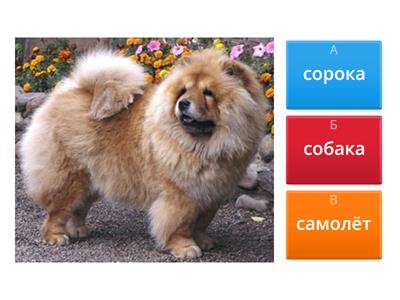 чтение дошкольники