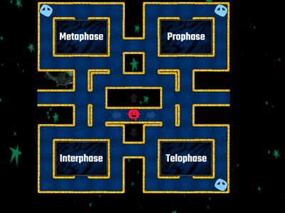 Mitosis Maze Chase