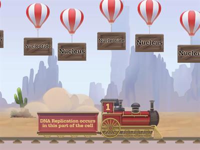 DNA and DNA Replication