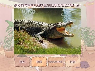 动物确保幼儿继续生存的方法的方法