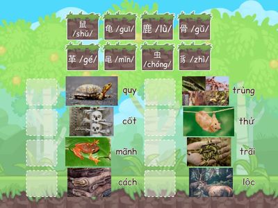 ẢI 1 : THÁM TỬ TÌM HÌNH 