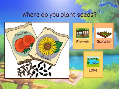  Questions - Who, What, Where