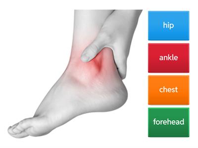 Gateway B1 unit 4 body parts