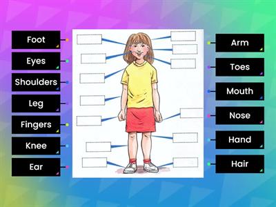 Parts of the body