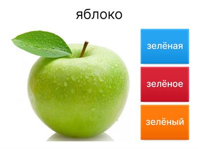 Какой? Какая? Какое?