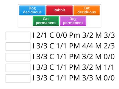 Dental formulae