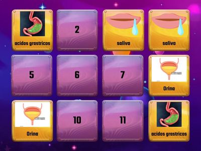 las sustancias de nuestro cuerpo